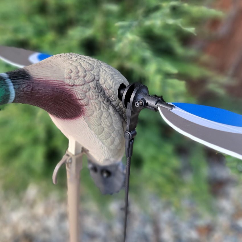 Animator V2 for Mojo Baby & Original Teal - Ridge & River