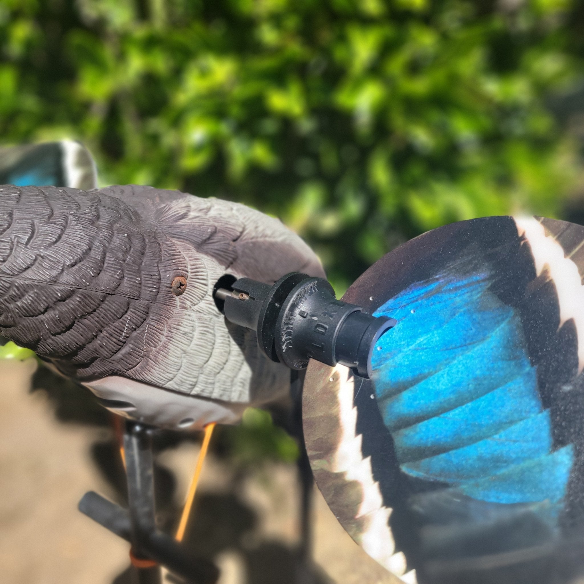 Animator V2 for Super Lucky Duck - Ridge & River