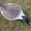 CS1 Canada Goose – Snow Goose Decoy - Ridge & River