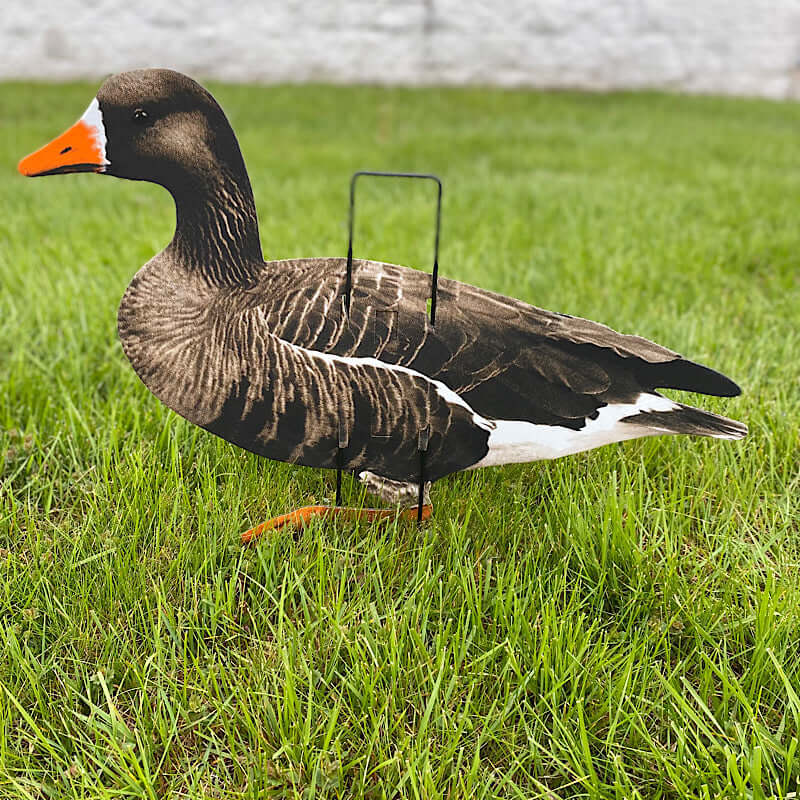 Econo Specklebelly Decoys - Ridge & River