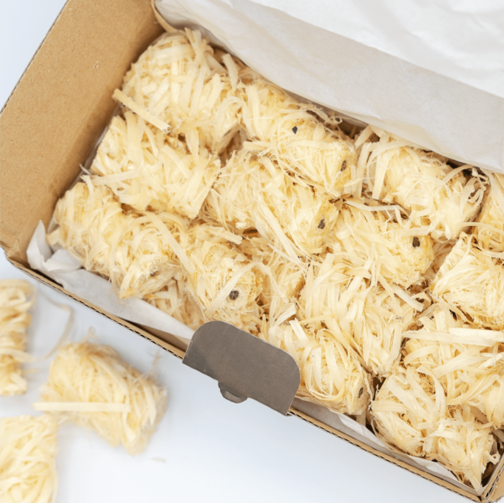 Fire Starters - Ridge & River