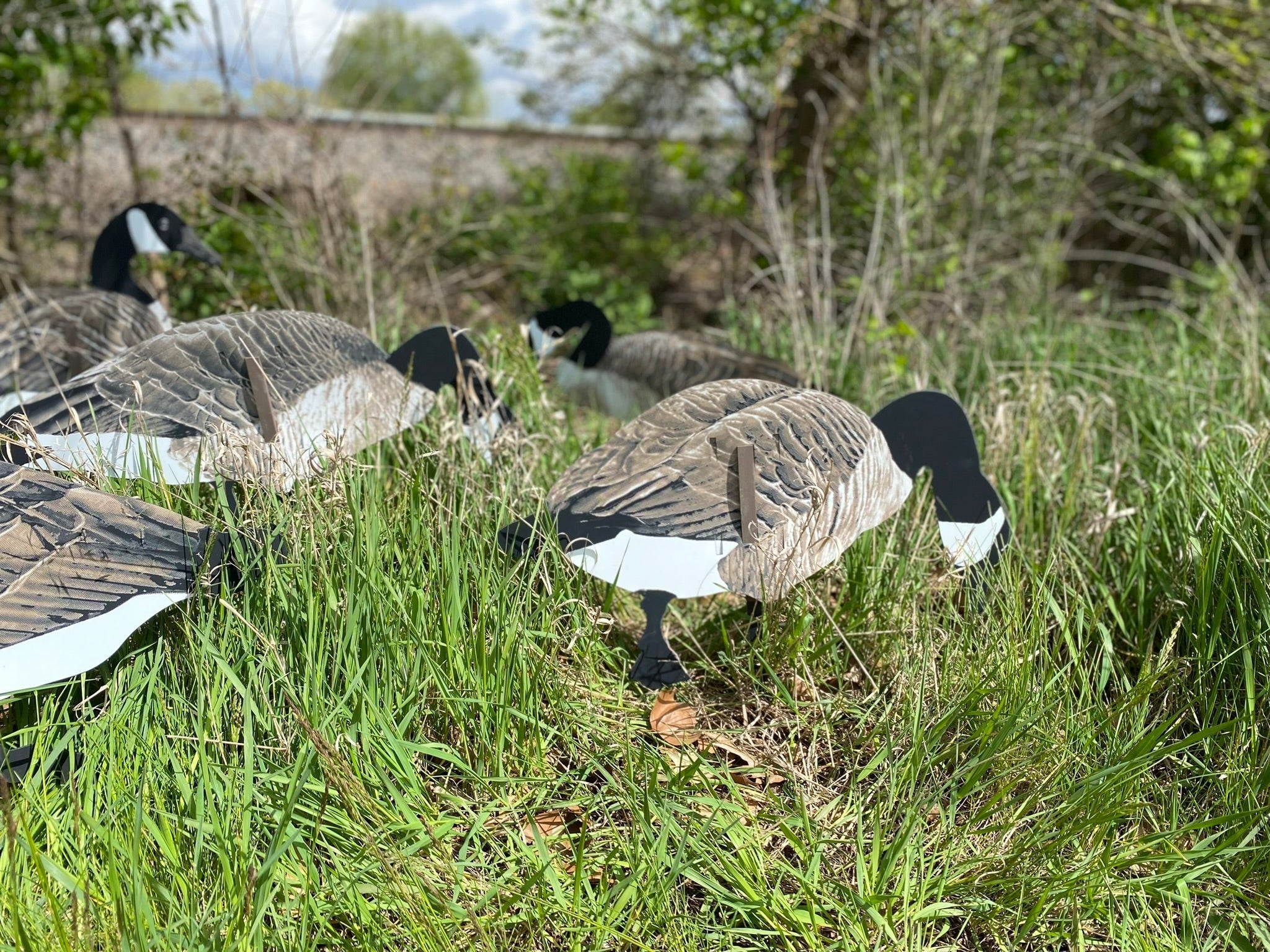 Magnum Lite 3D Canada Geese - Ridge & River