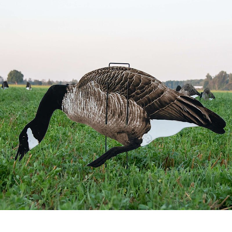 Pro II Lite - Ridge & River