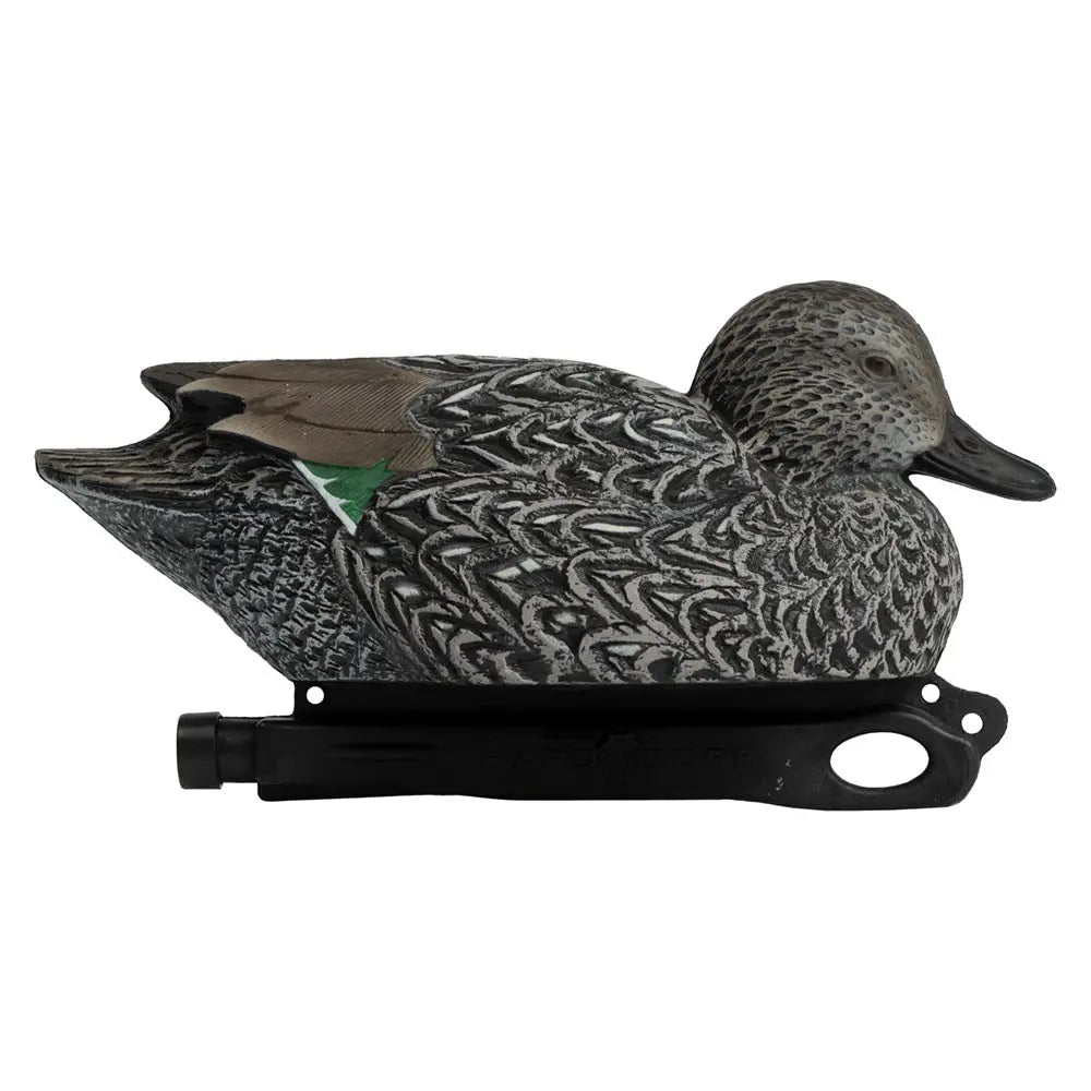 Rugged Series Blue - Winged Teal - Ridge & River