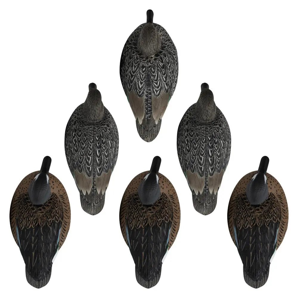 Rugged Series Blue - Winged Teal - Ridge & River