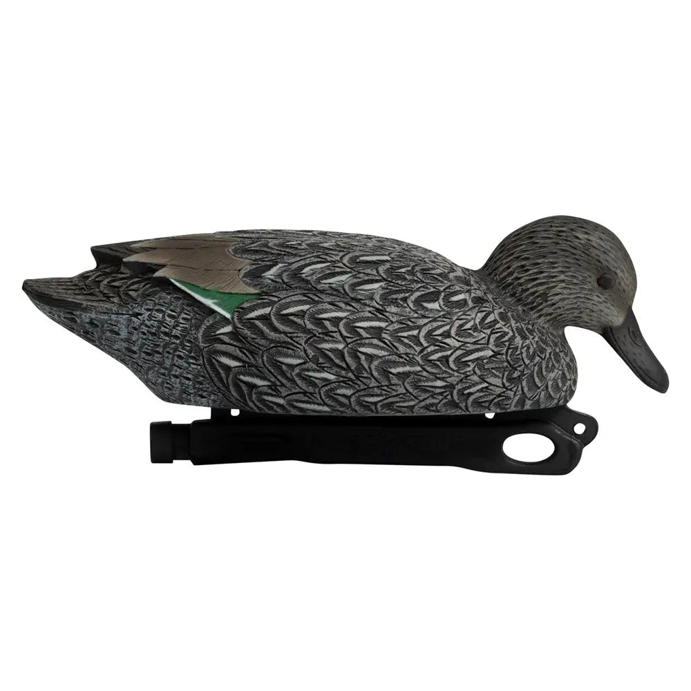 Rugged Series Blue - Winged Teal - Ridge & River