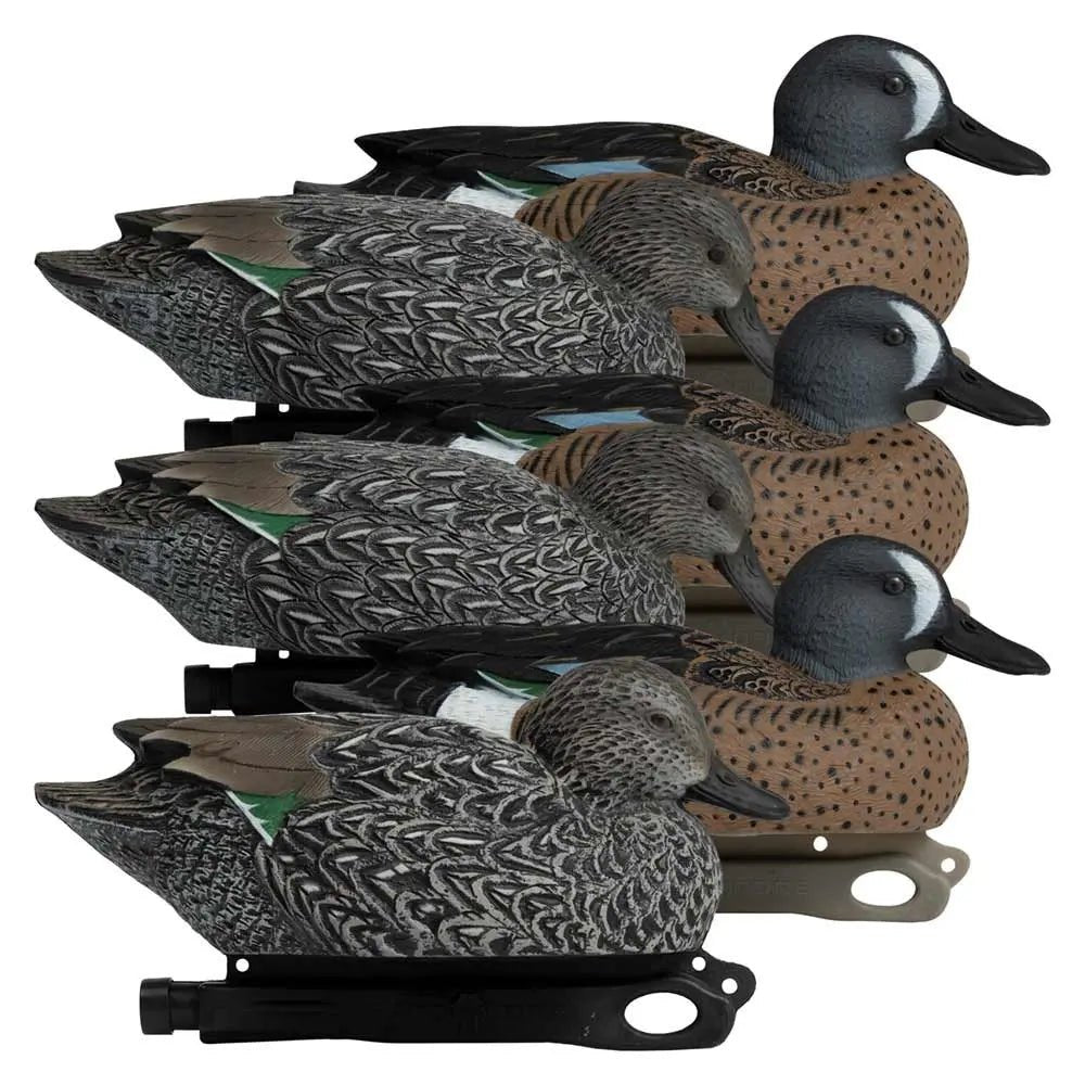 Rugged Series Blue - Winged Teal - Ridge & River