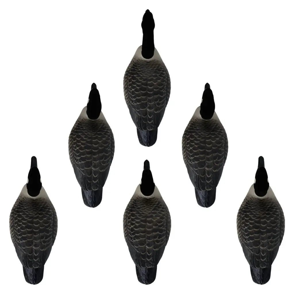 Rugged Series Canada Goose Floaters Touchdown Decoys – Flocked Head 6 Pack - Ridge & River