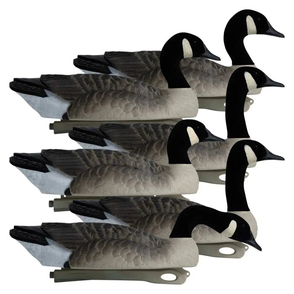 Rugged Series Canada Goose Floaters Touchdown Decoys – Flocked Head 6 Pack - Ridge & River
