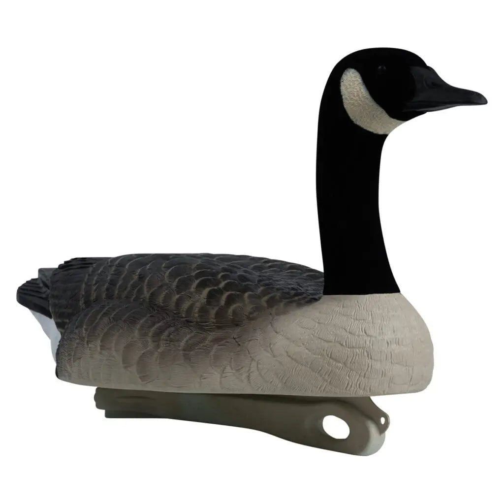 Rugged Series Canada Goose Floaters Touchdown Decoys – Flocked Head 6 Pack - Ridge & River