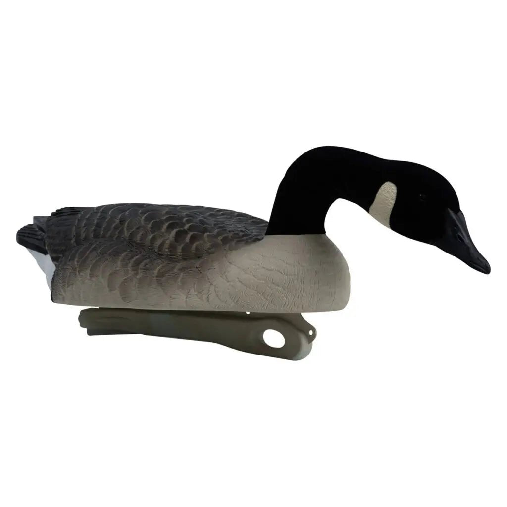 Rugged Series Canada Goose Floaters Touchdown Decoys – Flocked Head 6 Pack - Ridge & River