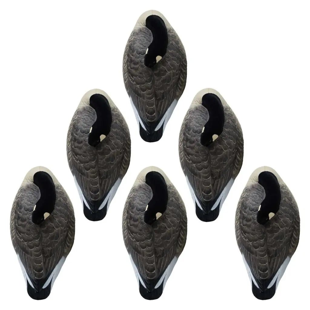 Rugged Series Canada Sleeper Shell Decoys – Flocked Head 6 Pack - Ridge & River