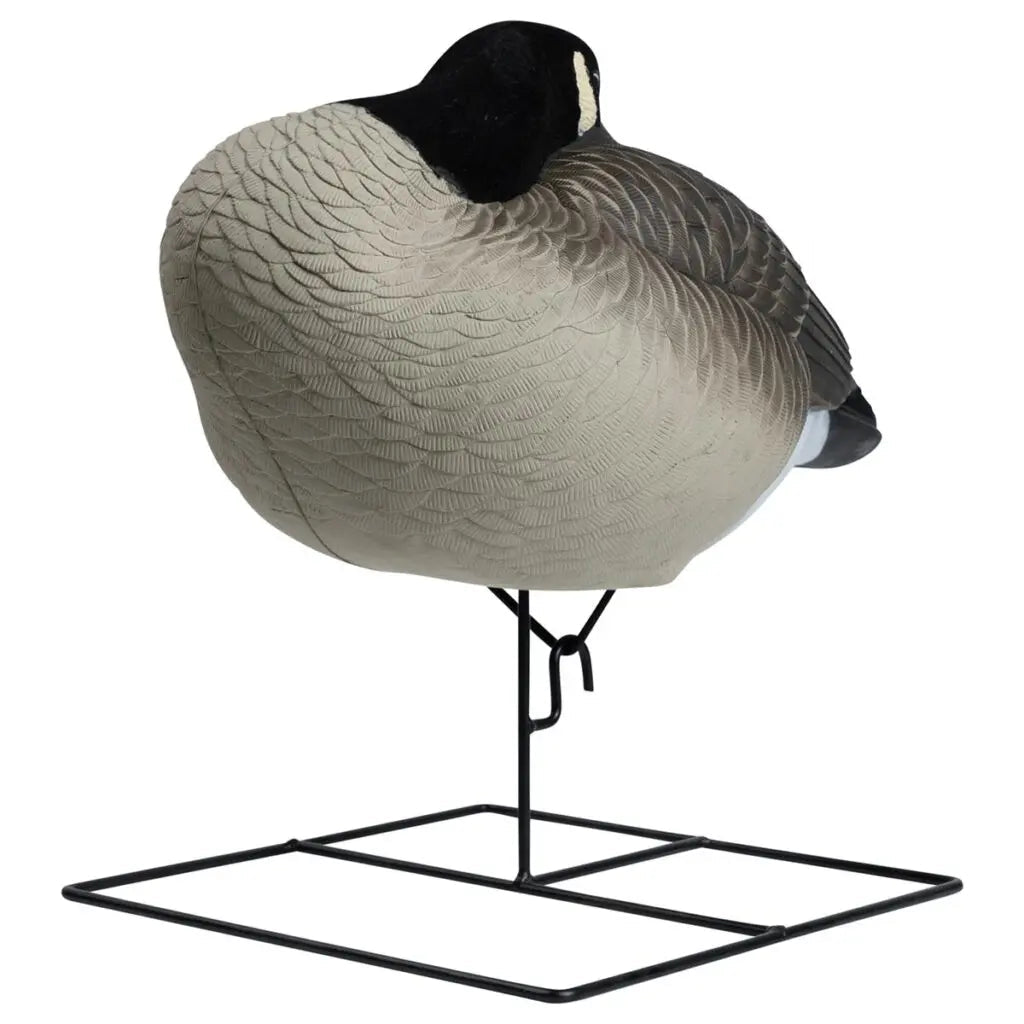 Rugged Series Flocked Head Full Body Canada Sleeper 4 - Pack - Ridge & River