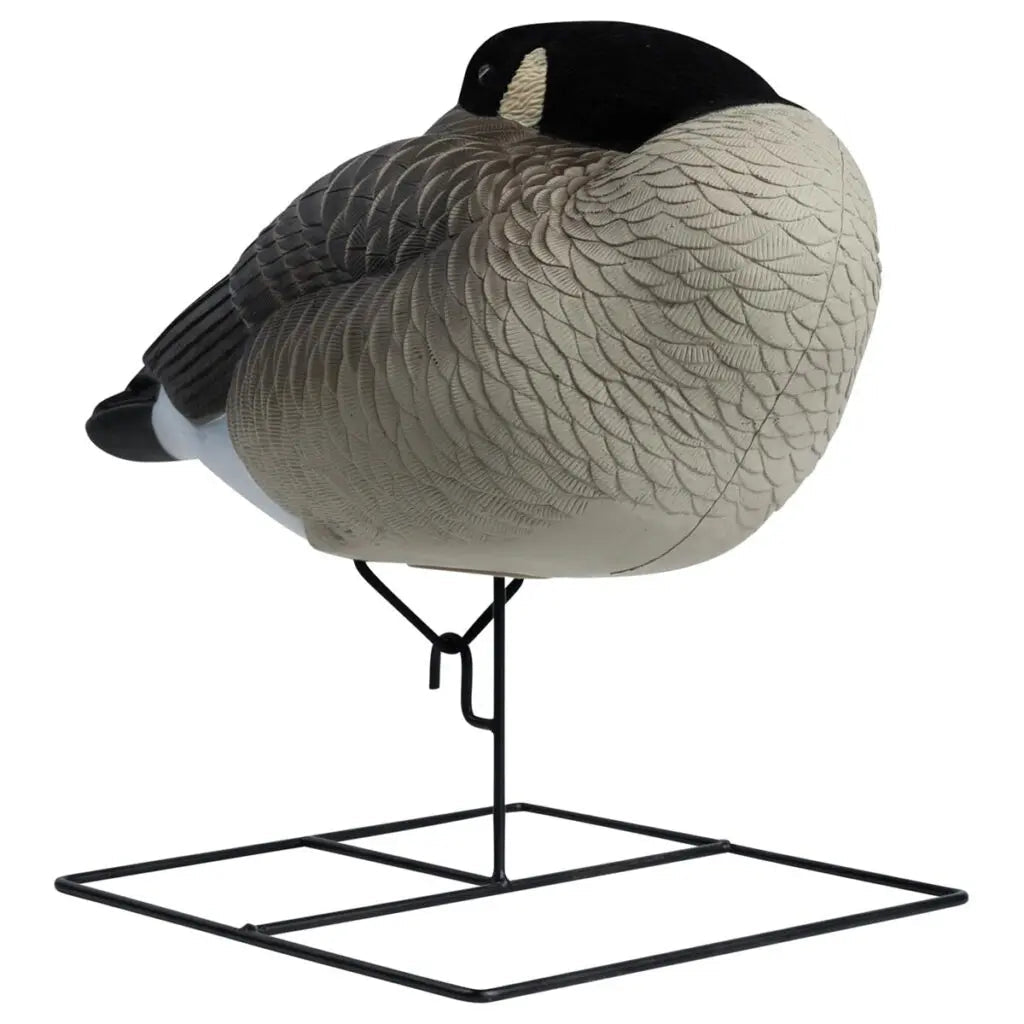 Rugged Series Flocked Head Full Body Canada Sleeper 4 - Pack - Ridge & River