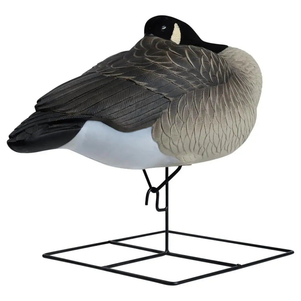 Rugged Series Flocked Head Full Body Canada Sleeper 4 - Pack - Ridge & River