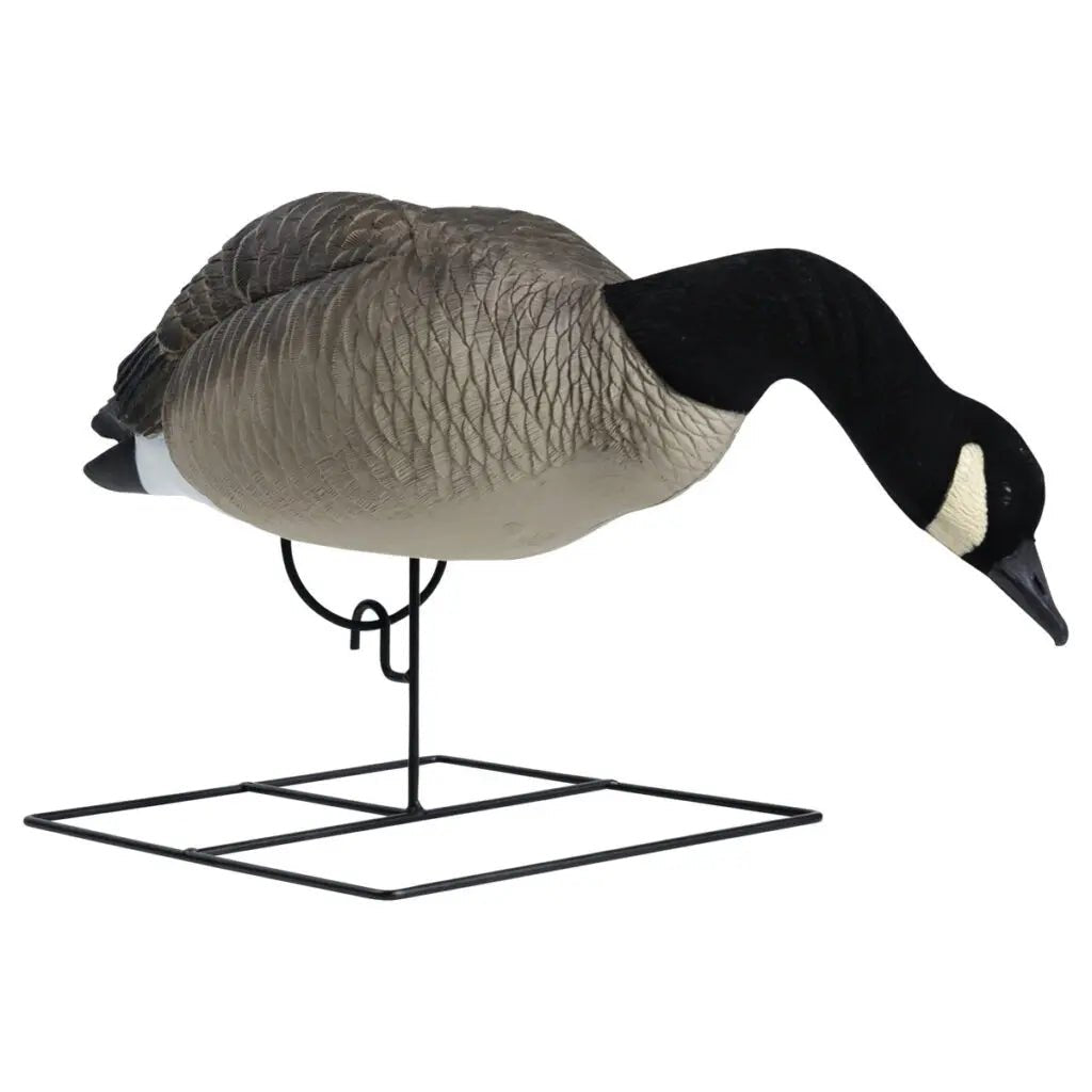 Rugged Series Full Body Canada Goose Feeder Decoys – Flocked Head - Ridge & River