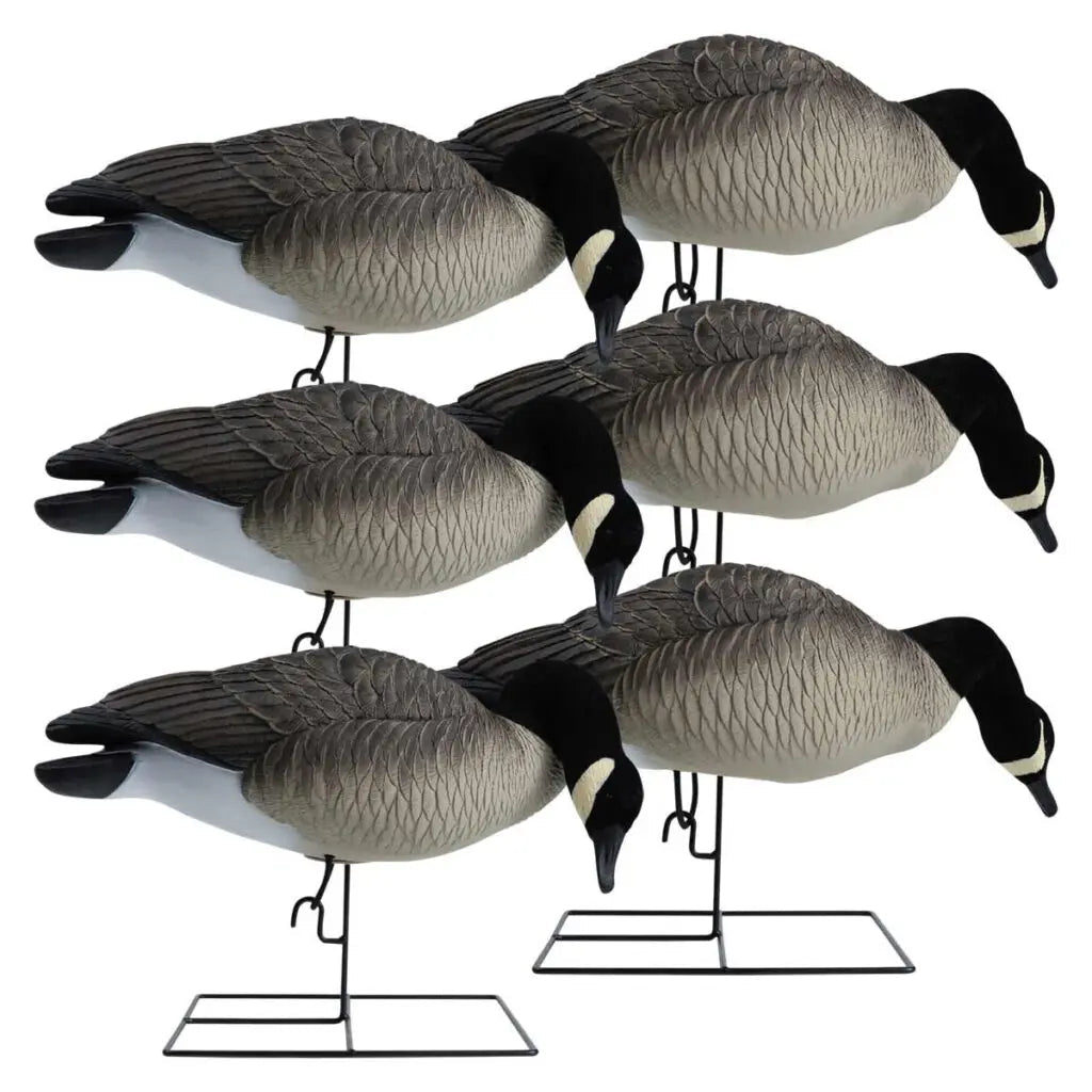 Rugged Series Full Body Canada Goose Feeder Decoys – Flocked Head - Ridge & River