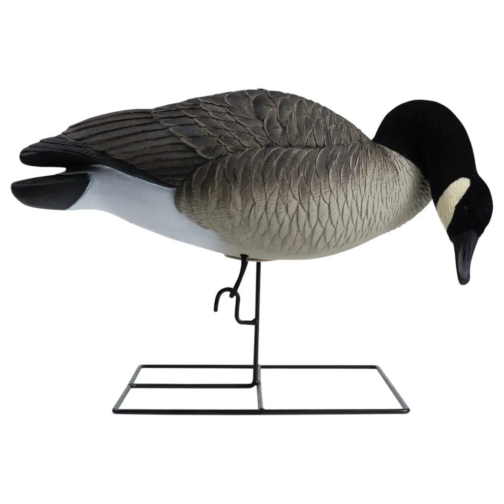 Rugged Series Full Body Canada Goose Feeder Decoys – Flocked Head - Ridge & River