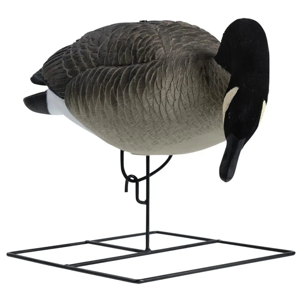 Rugged Series Full Body Canada Goose Feeder Decoys – Flocked Head - Ridge & River