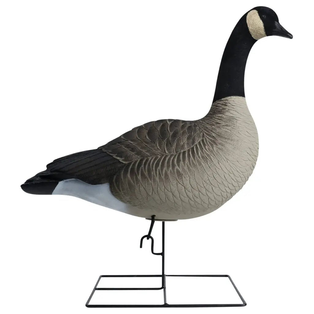 Rugged Series Full Body Canada Goose Touchdown Decoys – Flocked Head - Ridge & River