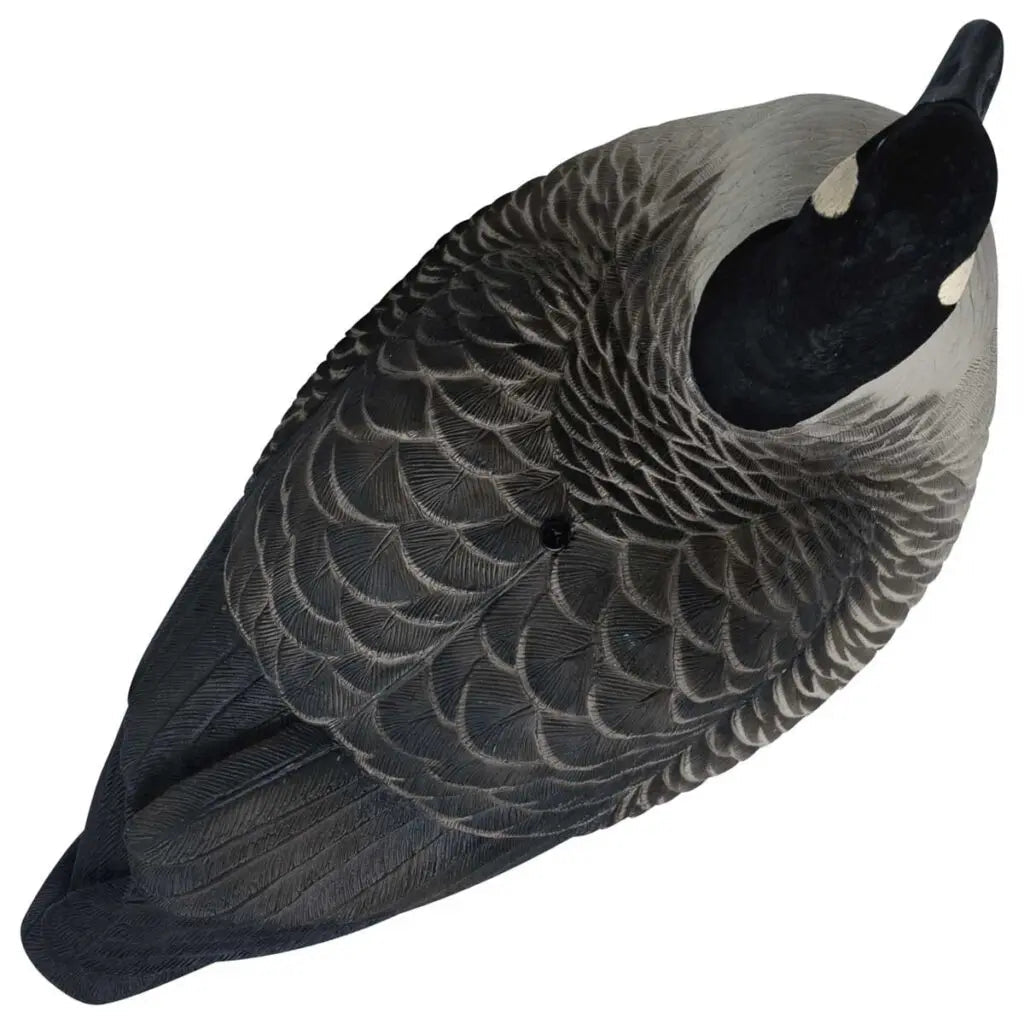 Rugged Series Full Body Canada Goose Touchdown Decoys – Flocked Head - Ridge & River