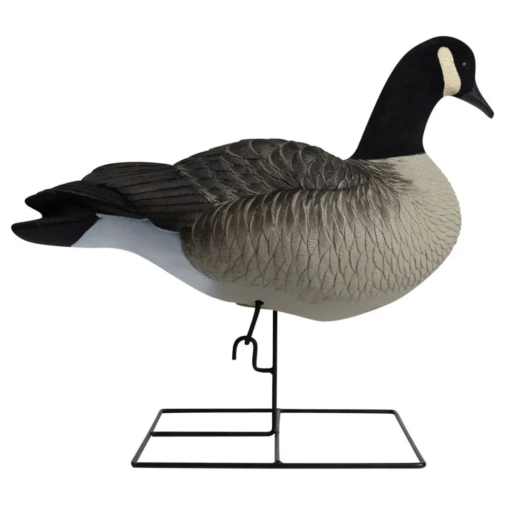 Rugged Series Full Body Canada Goose Touchdown Decoys – Flocked Head - Ridge & River