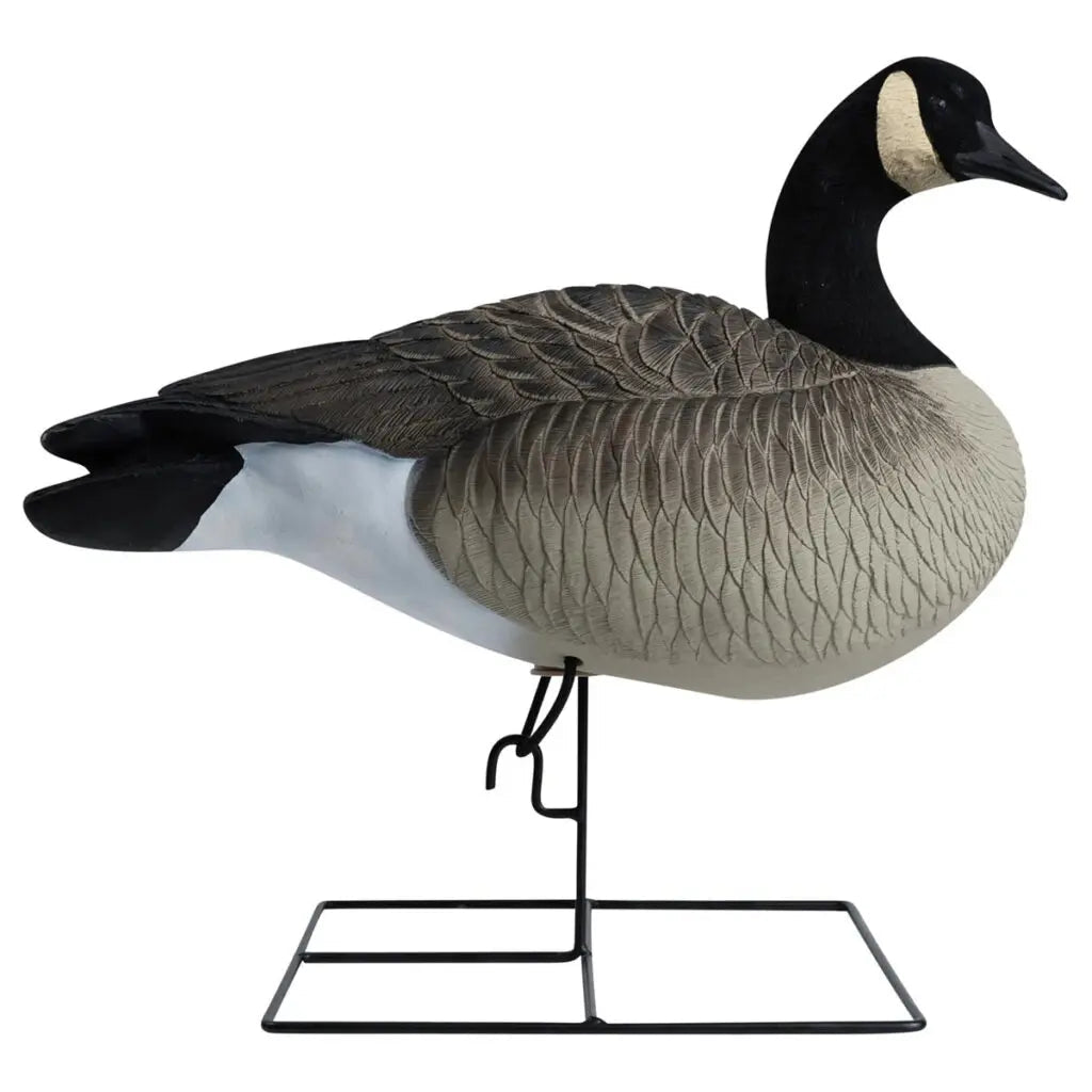 Rugged Series Full Body Canada Goose Touchdown Decoys – Flocked Head - Ridge & River