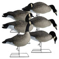Rugged Series Full Body Canada Goose Touchdown Decoys – Flocked Head - Ridge & River
