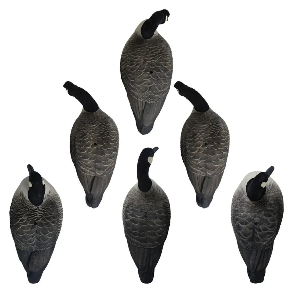 Rugged Series Full Body Canada Goose Touchdown Decoys – Flocked Head - Ridge & River