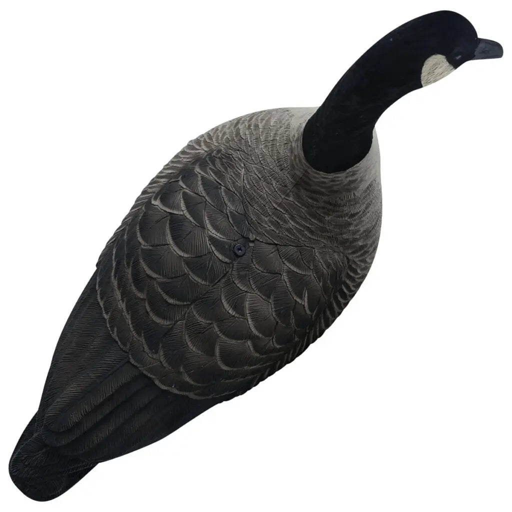 Rugged Series Full Body Canada Goose Touchdown Decoys – Flocked Head - Ridge & River