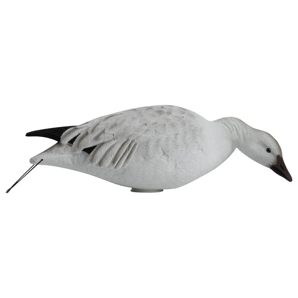 Rugged Series Full Body Snow and Blue Goose Touchdown Decoys 12 - Pack - Ridge & River