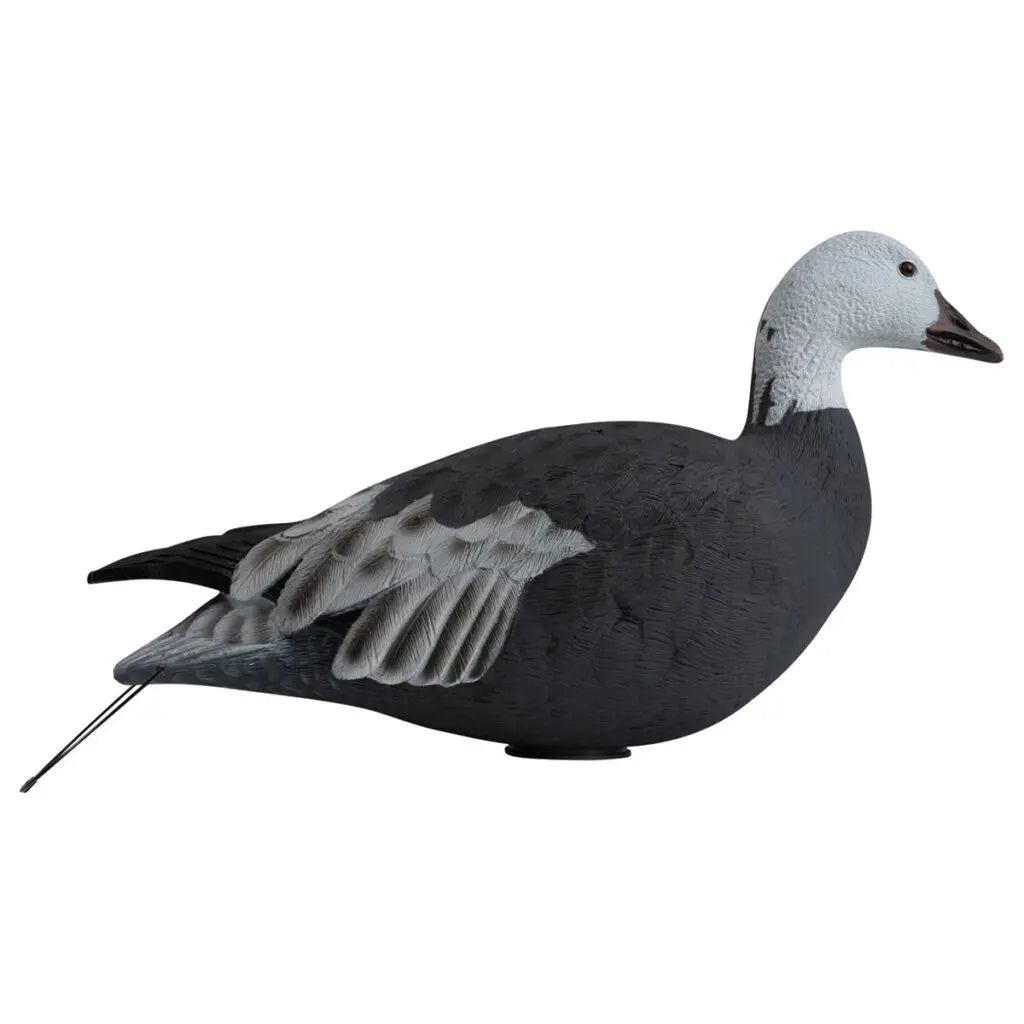 Rugged Series Full Body Snow and Blue Goose Touchdown Decoys 12 - Pack - Ridge & River