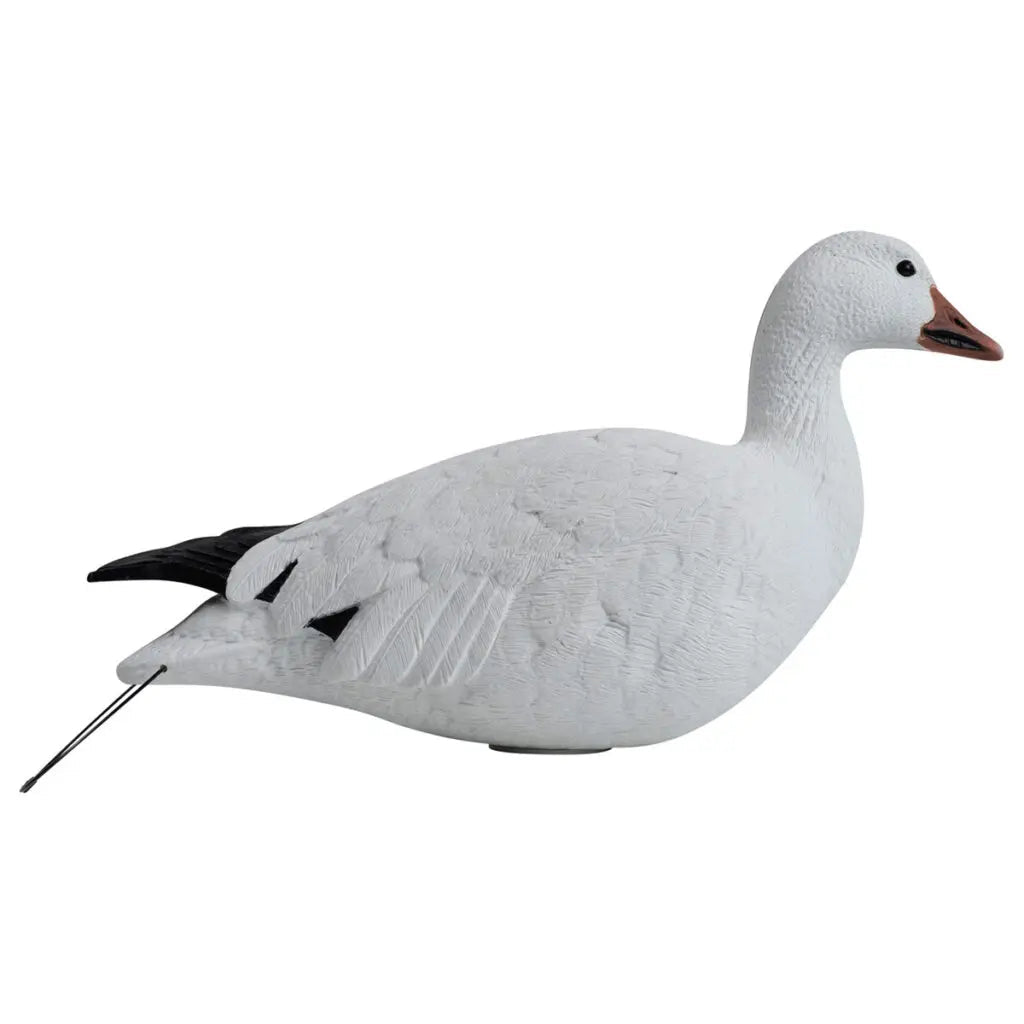 Rugged Series Full Body Snow and Blue Goose Touchdown Decoys 12 - Pack - Ridge & River