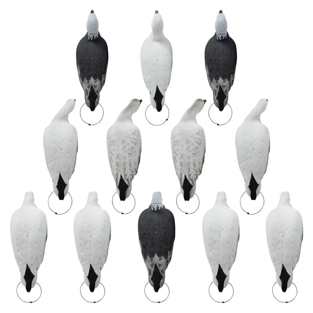 Rugged Series Full Body Snow and Blue Goose Touchdown Decoys 12 - Pack - Ridge & River