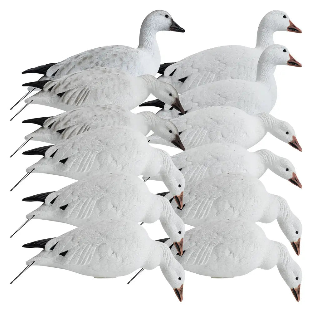 Rugged Series Full Body Snow Goose Touchdown Decoys 12 - Pack - Ridge & River