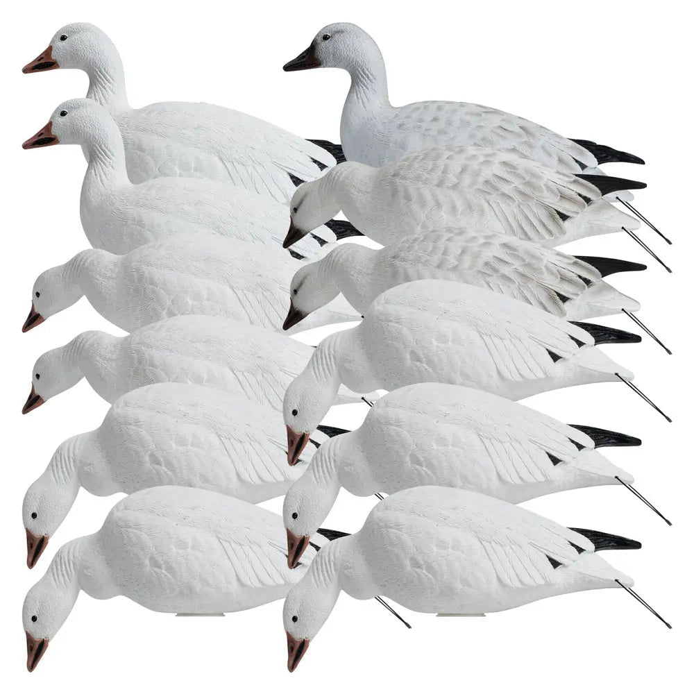 Rugged Series Full Body Snow Goose Touchdown Decoys 12 - Pack - Ridge & River
