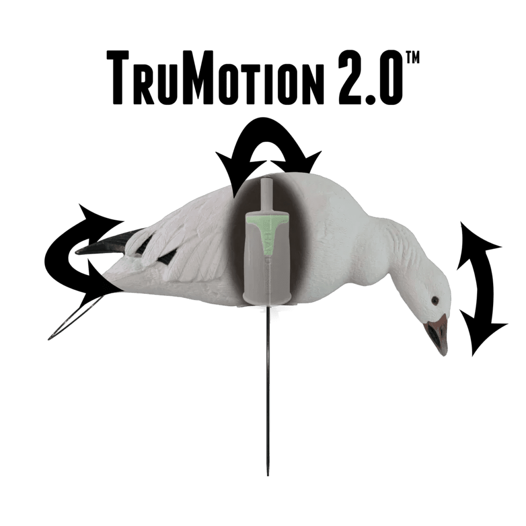 Rugged Series Full Body Snow Goose Touchdown Decoys 12 - Pack - Ridge & River