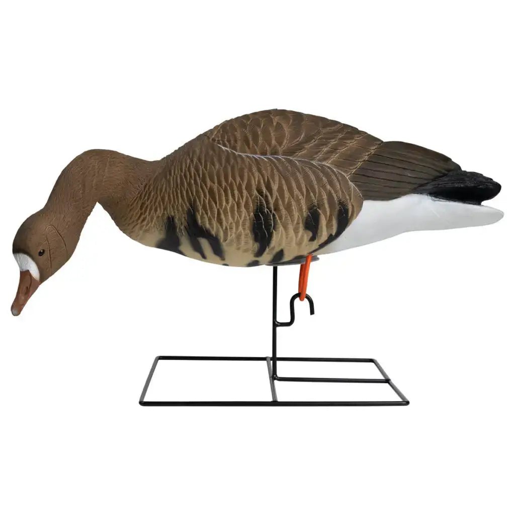 Rugged Series Full Body Specklebelly 6 - pack - Ridge & River