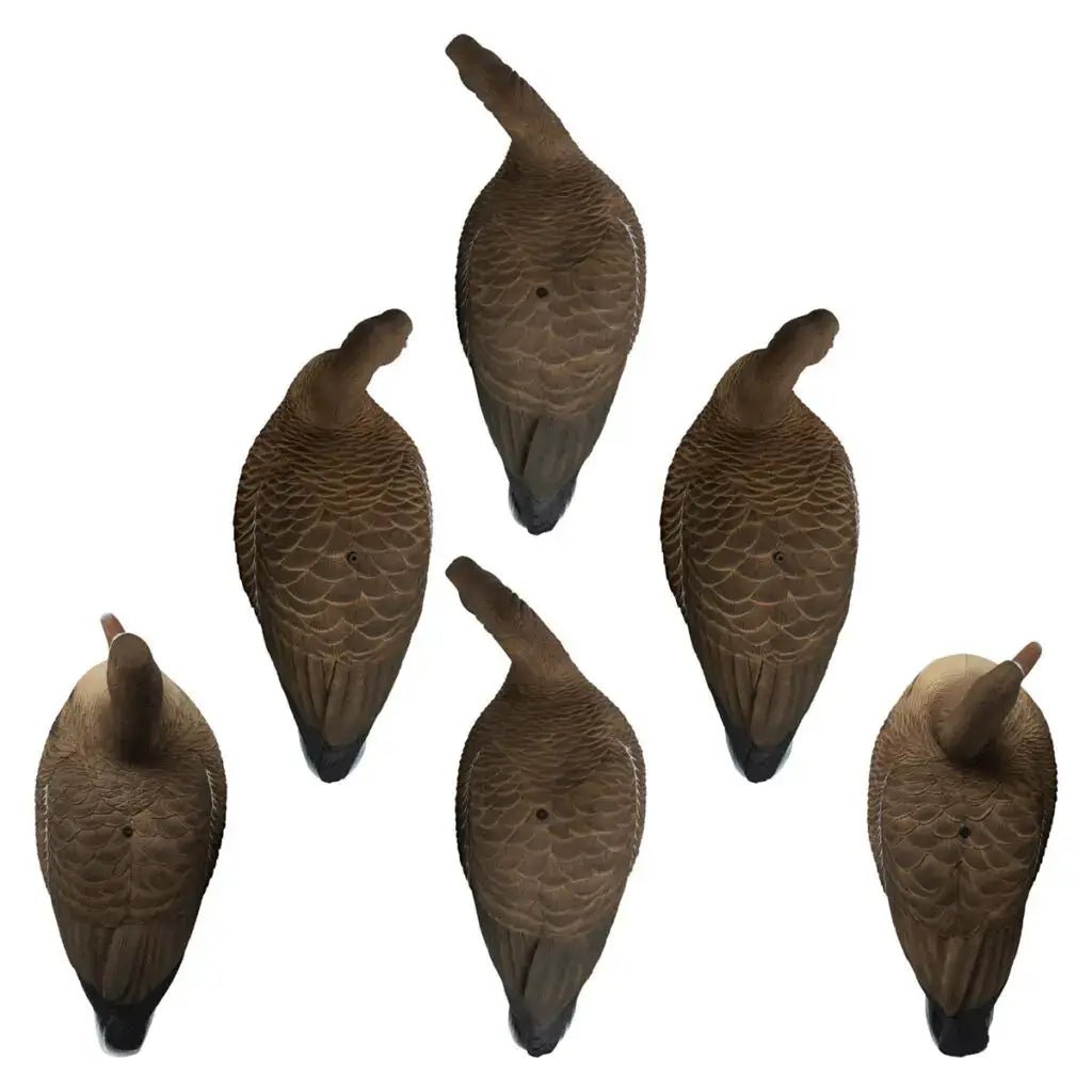 Rugged Series Full Body Specklebelly 6 - pack - Ridge & River