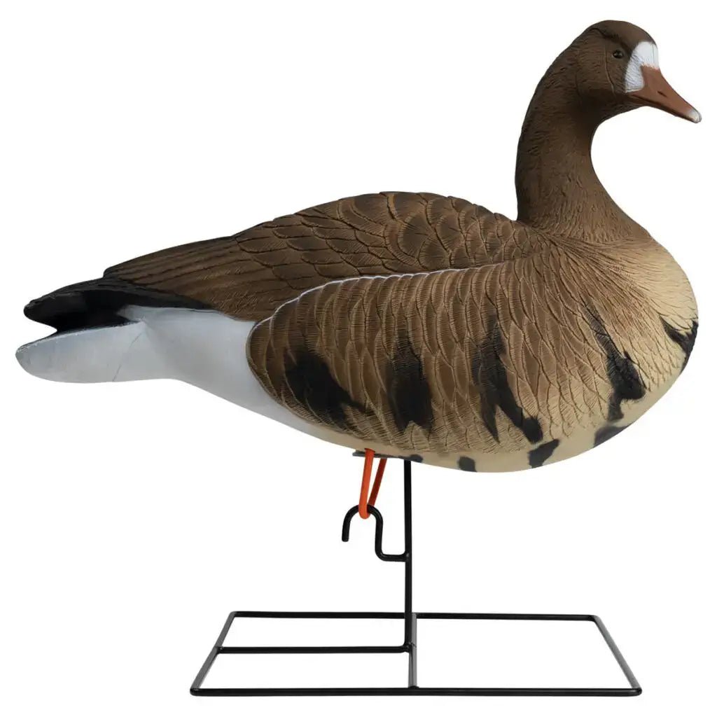 Rugged Series Full Body Specklebelly 6 - pack - Ridge & River