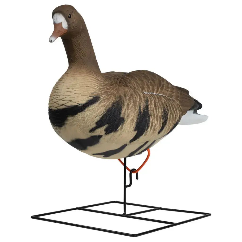 Rugged Series Full Body Specklebelly 6 - pack - Ridge & River