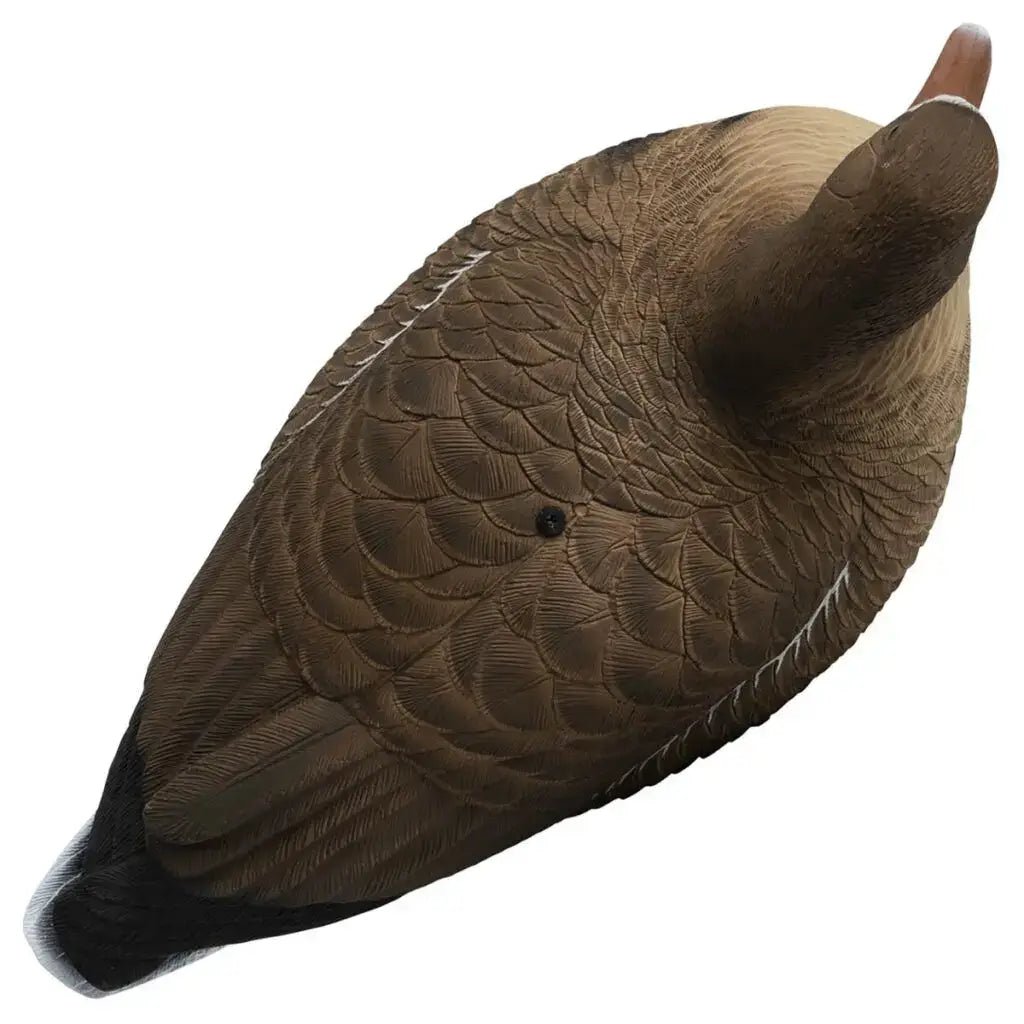 Rugged Series Full Body Specklebelly 6 - pack - Ridge & River