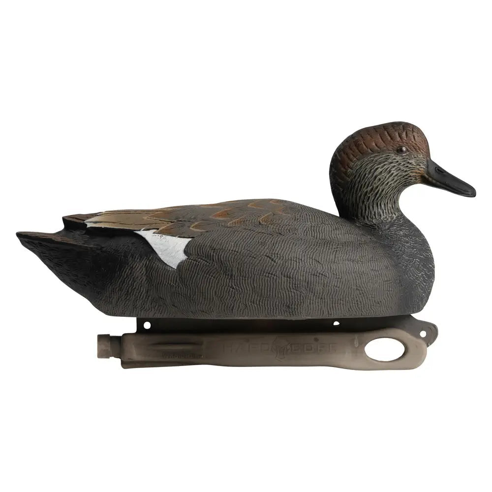 Rugged Series Gadwall - Ridge & River