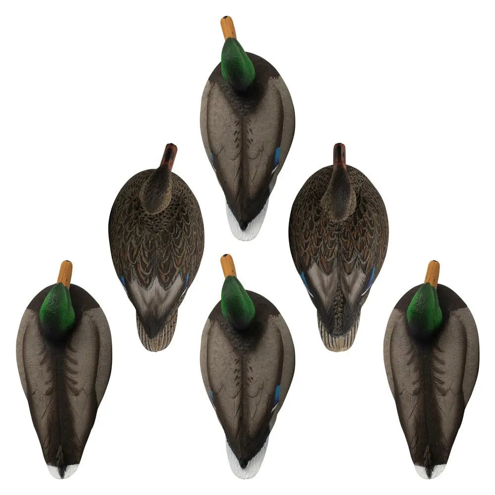 Rugged Series Standard Mallard - Ridge & River