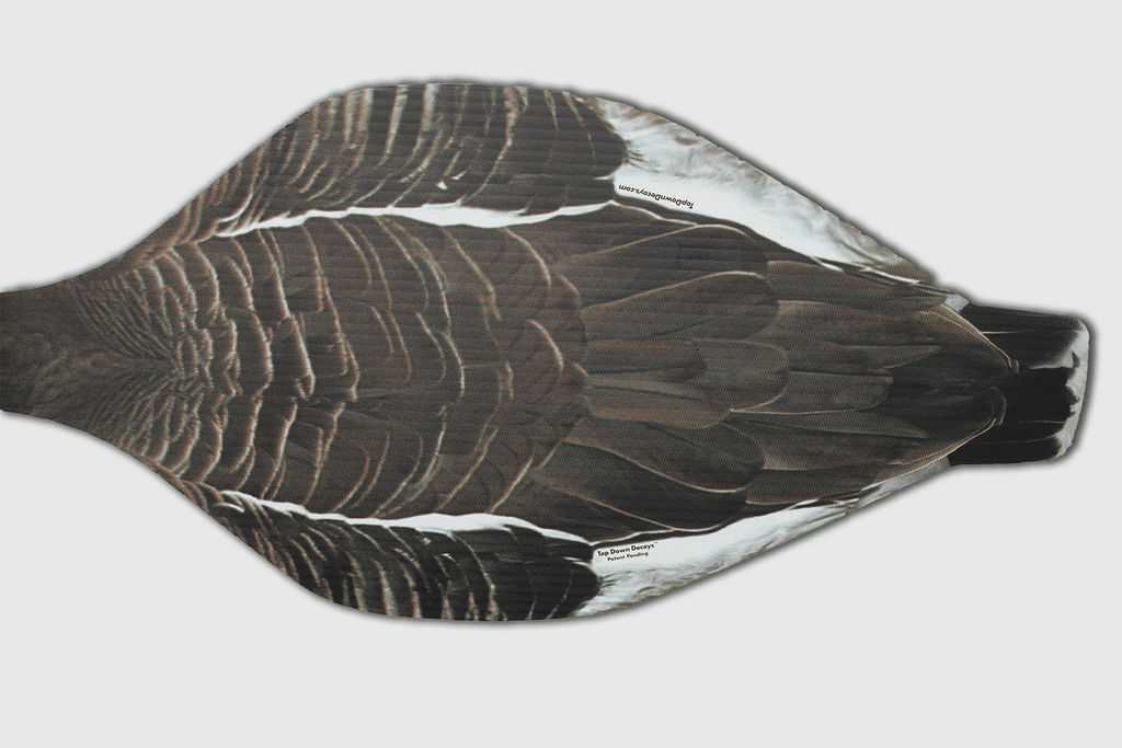 Top Down Decoys® SBS1 Specklebelly - Snow - Ridge & River