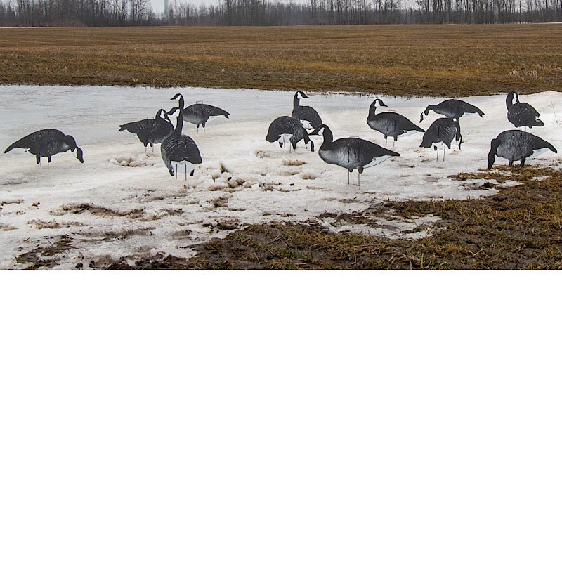 Xclipse Canada Uprights - Ridge & River