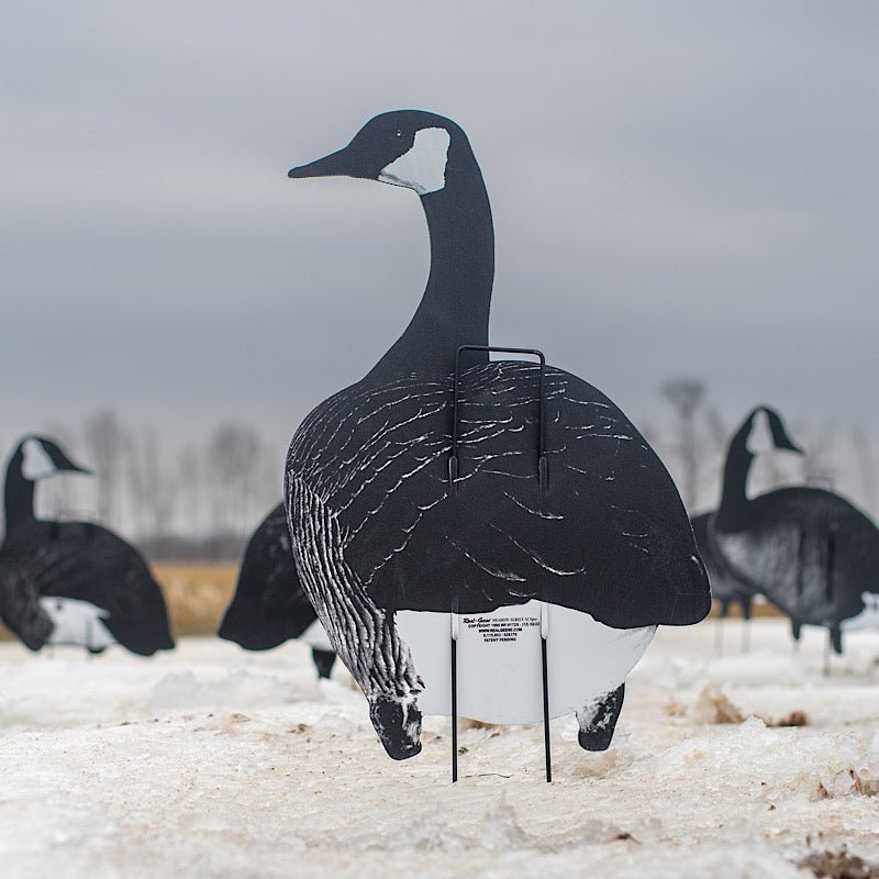 Xclipse Canada Uprights - Ridge & River