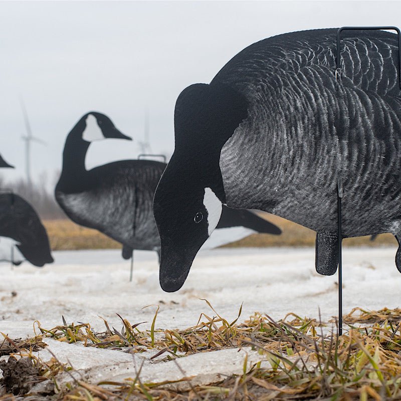 Xclipse Shadow Series Canada - Ridge & River